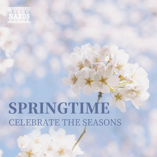 抹茶软件看女生全身隐私
